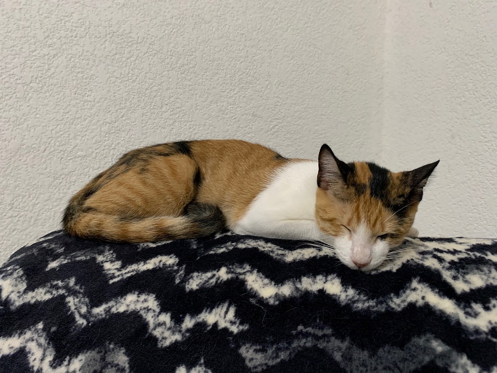 ふくちゃん